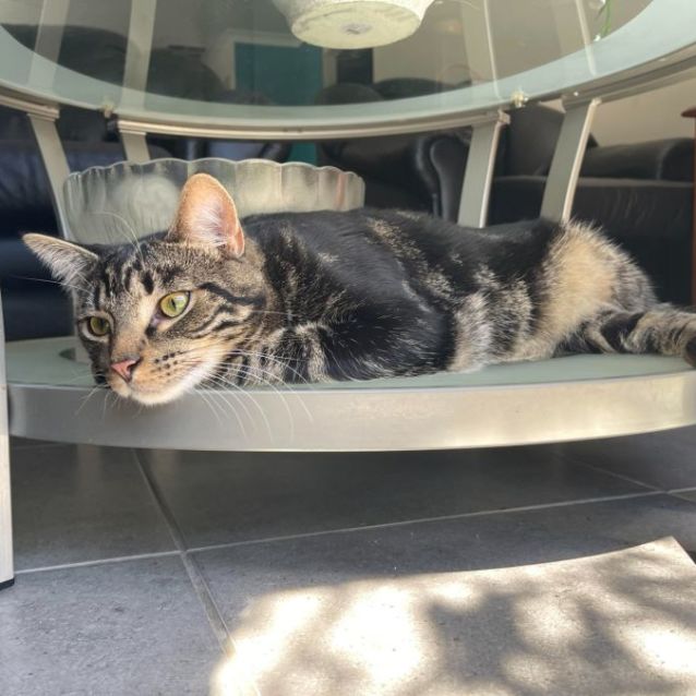 Photo of Ellington (Located In Cranbourne East)