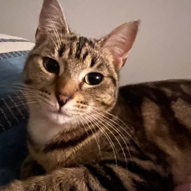 Photo of Kiki