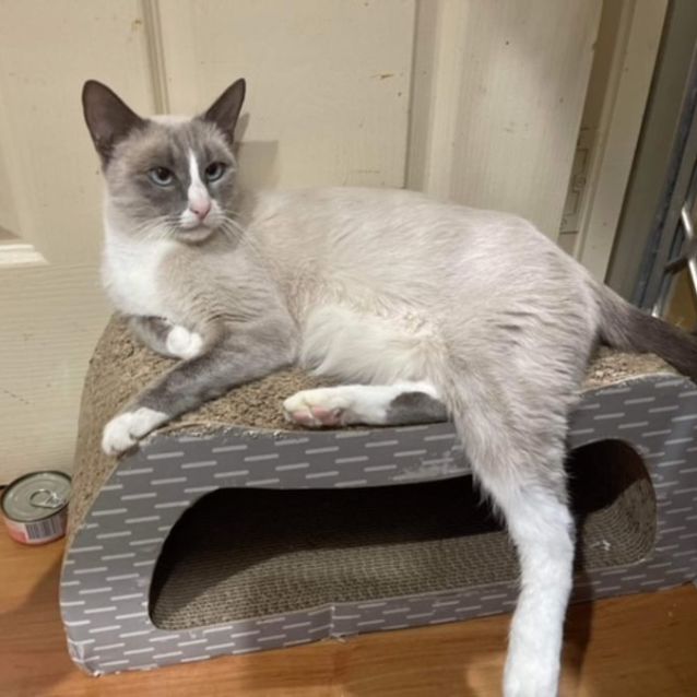 Photo of Tinkerbell