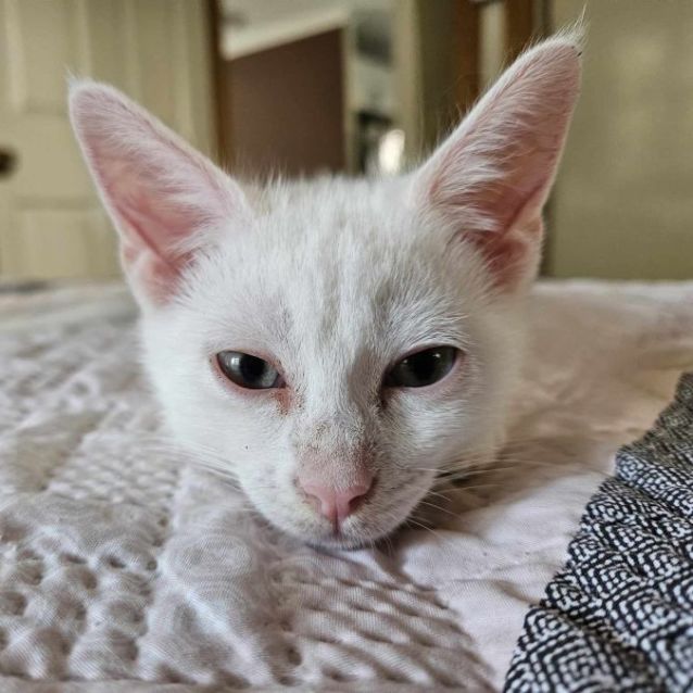 Photo of Princess Catherine