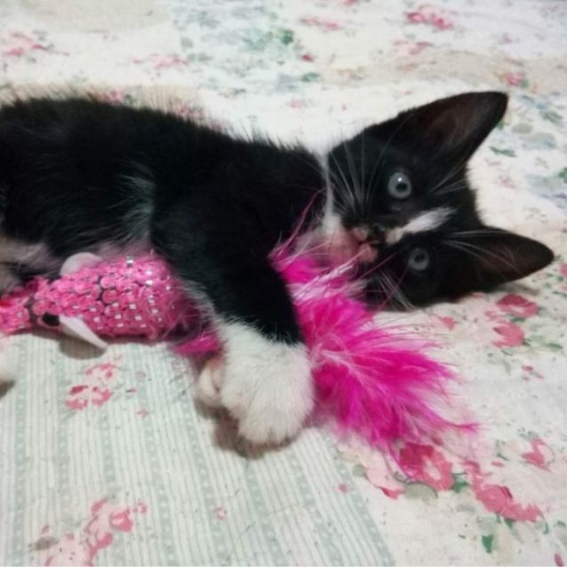 Photo of Mia