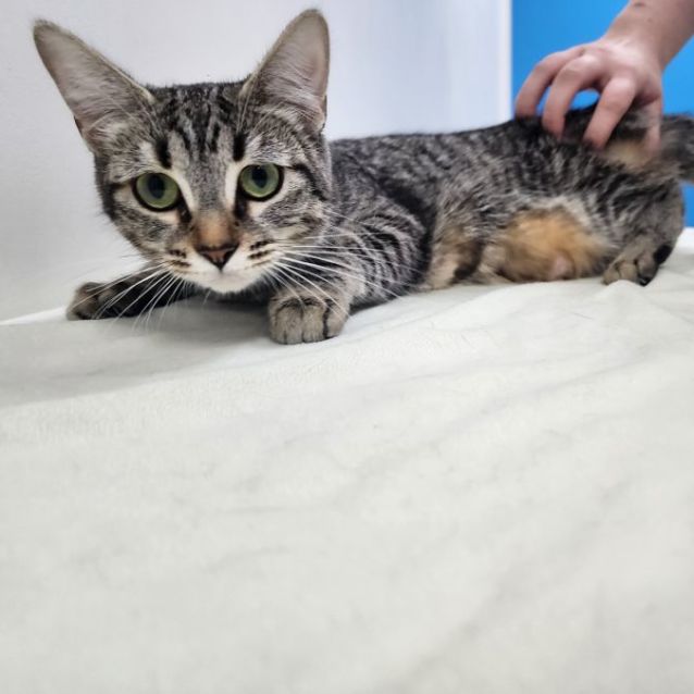 Photo of Carol🤶🎼