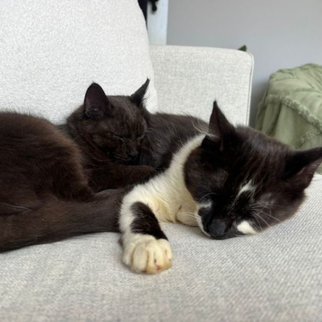 Photo of Spice & Sugar