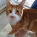 Photo of Jasper