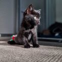 Photo of Peggy