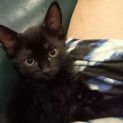 Photo of Jemima