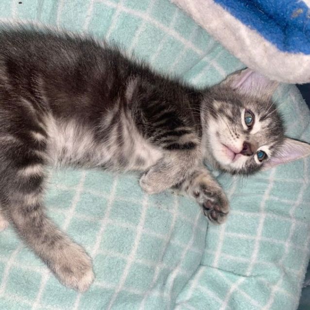 Photo of Storm
