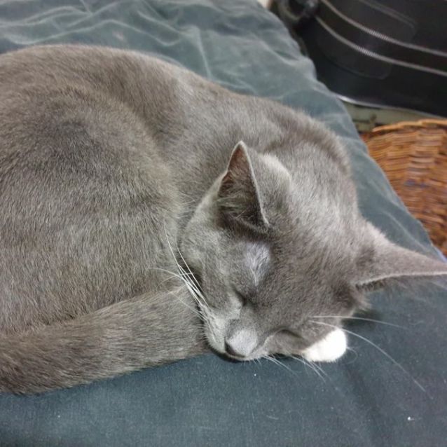 Photo of Tiffany Valentine