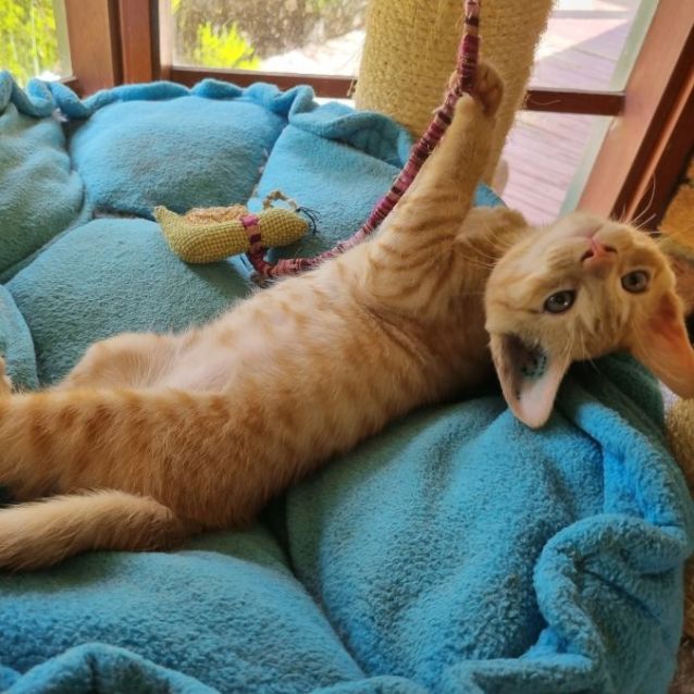 Photo of Elliot Aka Tonka