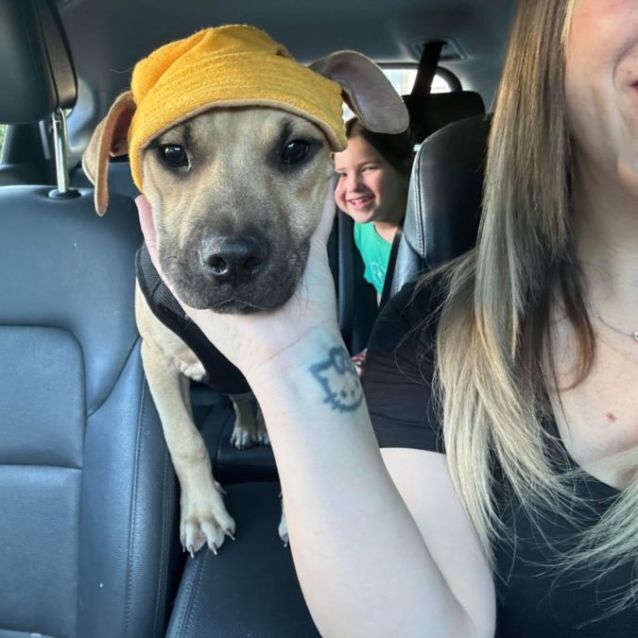 Photo of Lenny ✌️😎