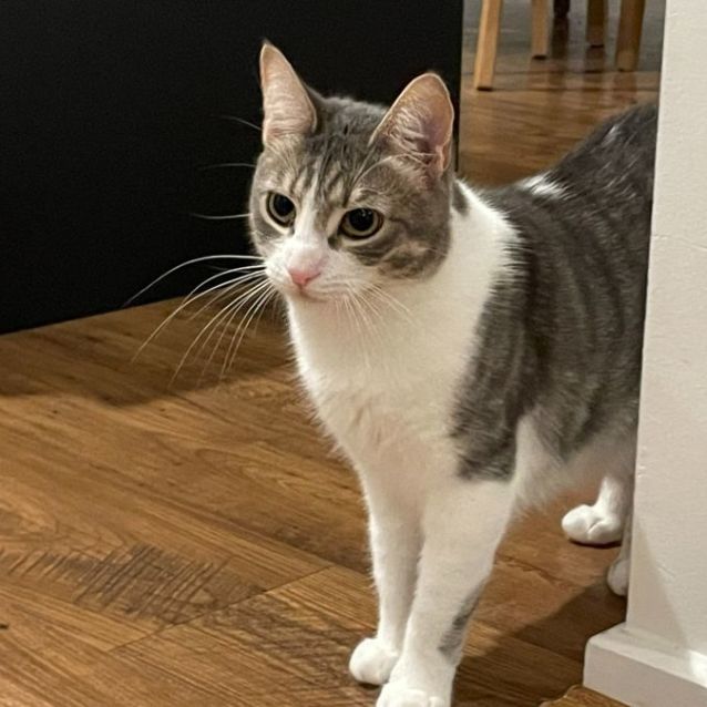 Photo of Tesha & Tori 🌷🌺