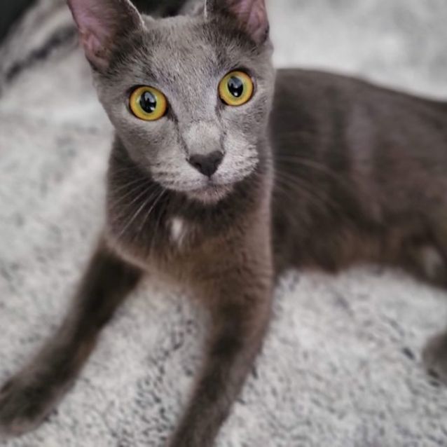 Photo of Matrika