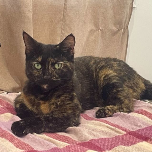 Photo of Jaffa
