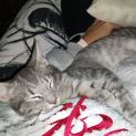 Photo of Storm