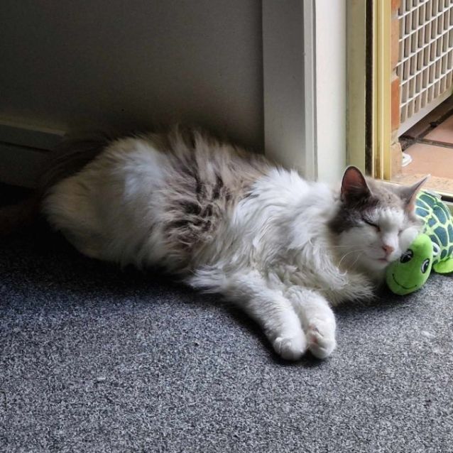 Photo of Jonte And Daisy