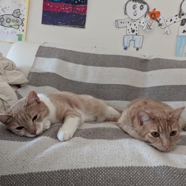 Photo of Peanut And Snoopy