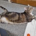 Photo of Jasper