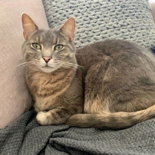 Jack. Loving & playful!