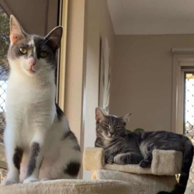 Photo of Duchess And Pearl