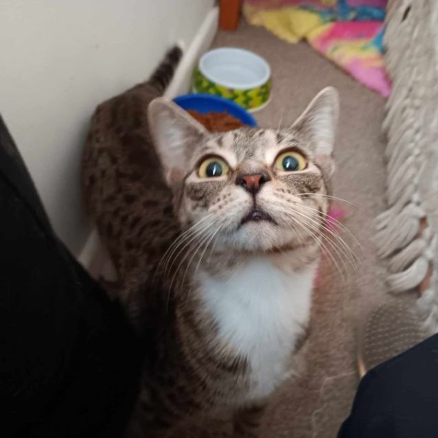 Photo of Gina