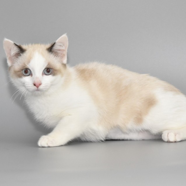 Photo of Halle Berry