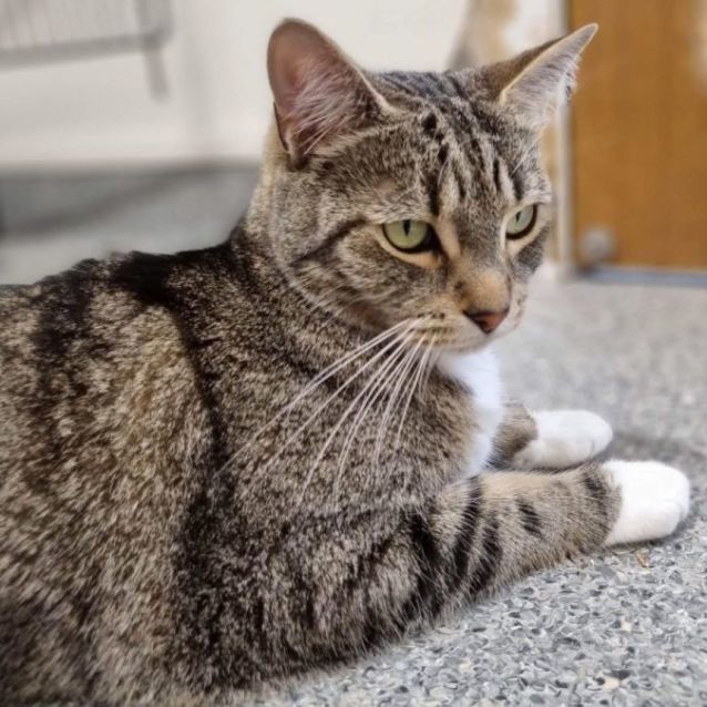 Photo of Jasper