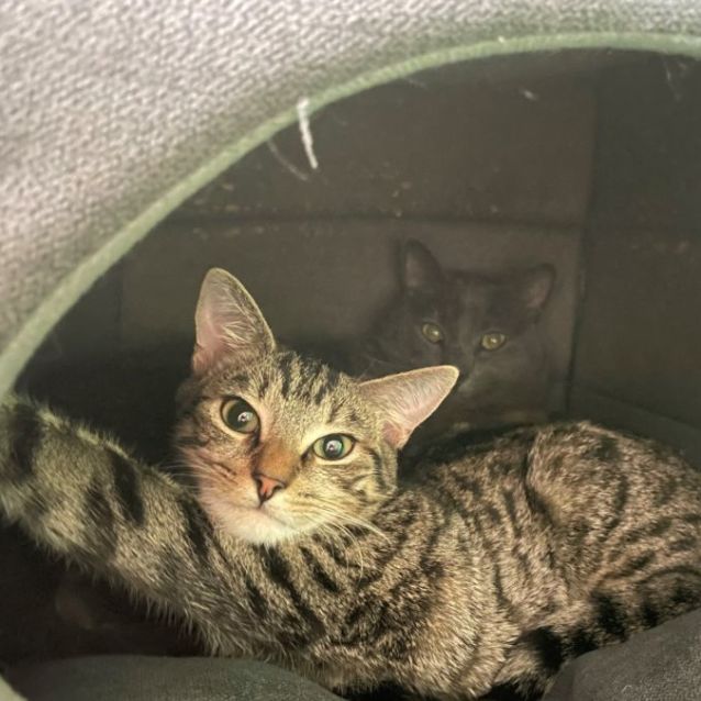 Photo of Sweet Eddie