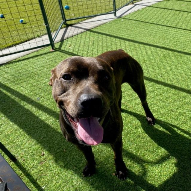 Photo of D859 Boston