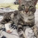 Photo of Axel