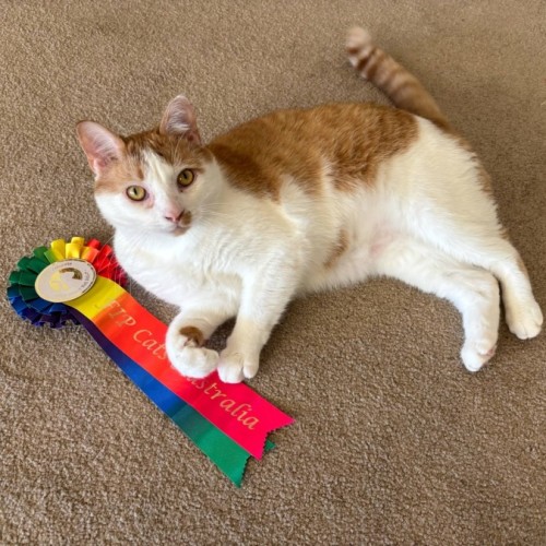 Poisiden - Can deliver to you if needed