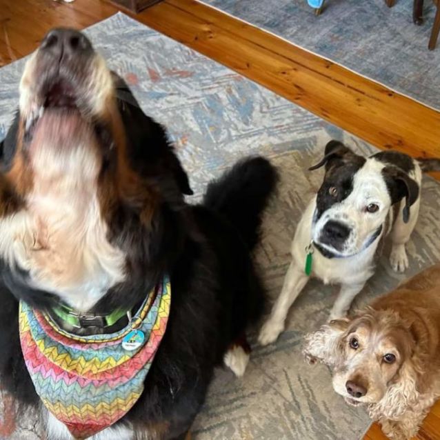 Photo of Vincent Crabbe