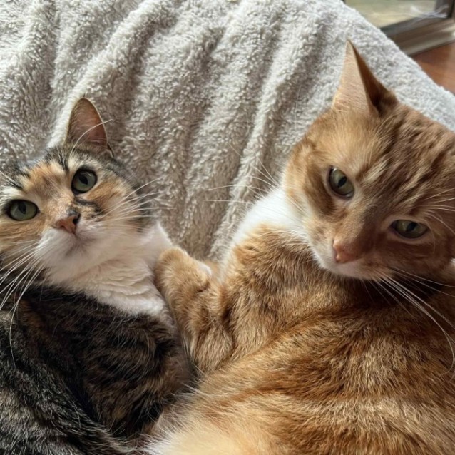 Photo of Esther & Everett   In Foster Care In Flemington