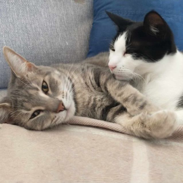 Photo of Kiara And Coco