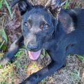 Photo of Molly