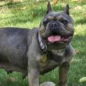 Photo of Enid