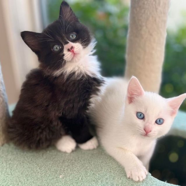 Photo of 🖤 Jonty 🖤