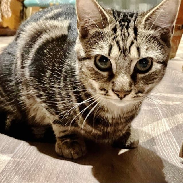 Photo of Tom
