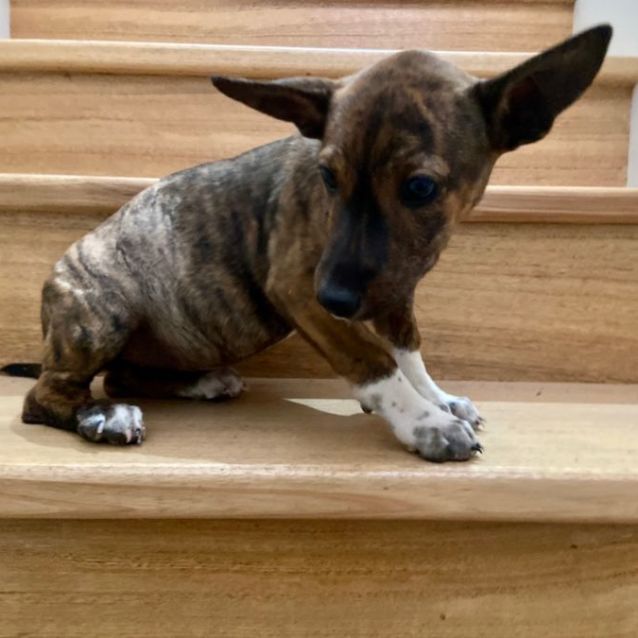 Photo of Sally