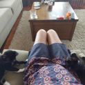 Photo of Long Socks & Short Socks