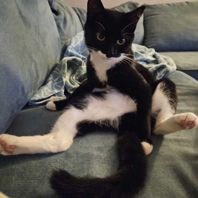 Photo of James Bond And Miss Moneypenny