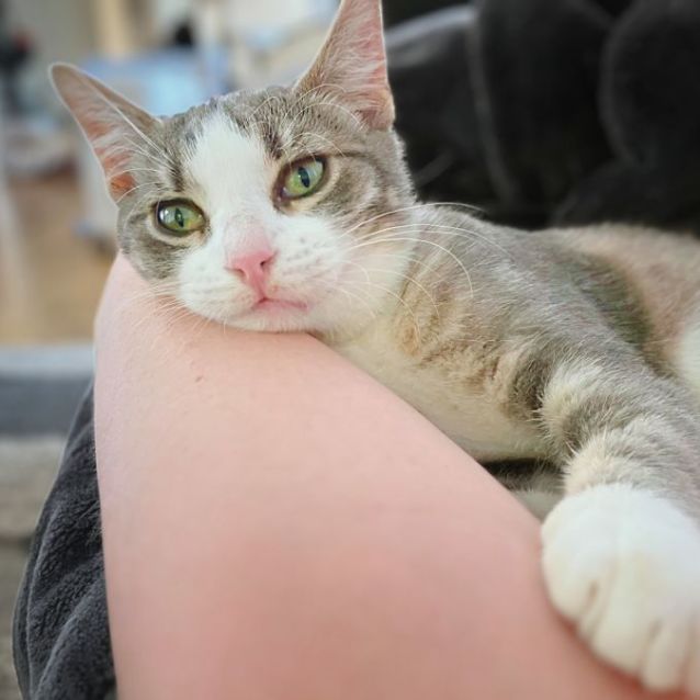 Photo of Holly