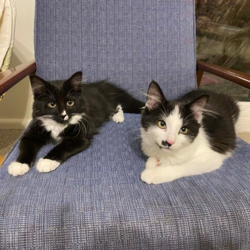 Sprout & Ferny (Located in Croydon South)