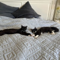 Photo of Ben And Bill