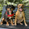 Photo of Jet & Sophia