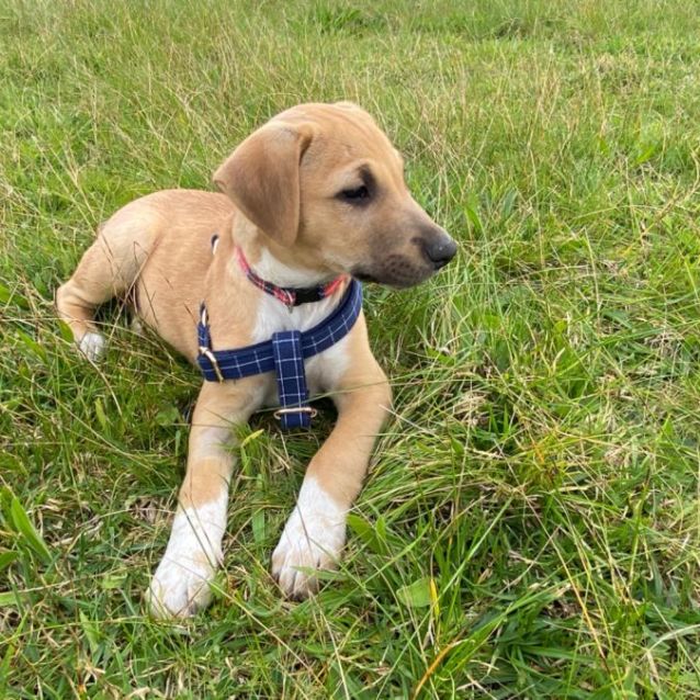 Photo of Darbie 