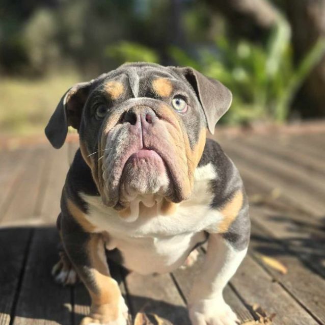 Photo of Mash!