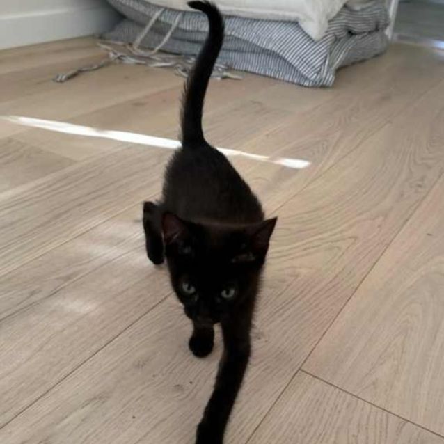 Photo of Lala