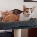 Photo of Desmina & Imogen ππ