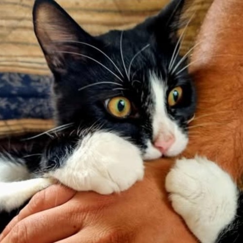 No photo for Sebastian