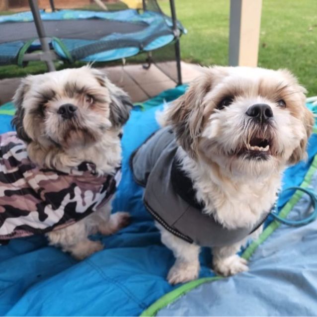 Photo of Paddington & Ted